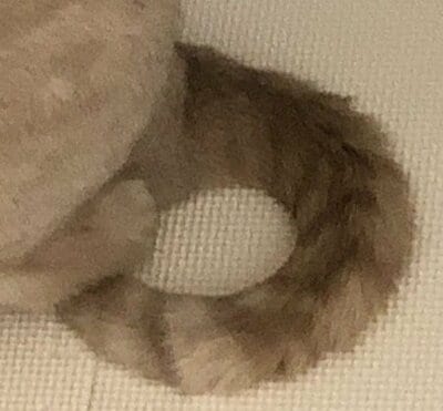 美味しそうな「ドーナツ」です