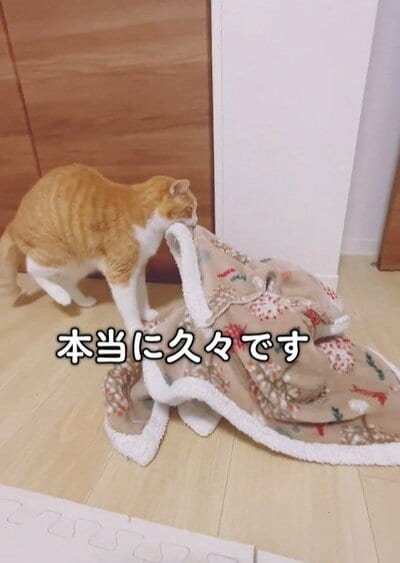 投稿動画のワンシーン