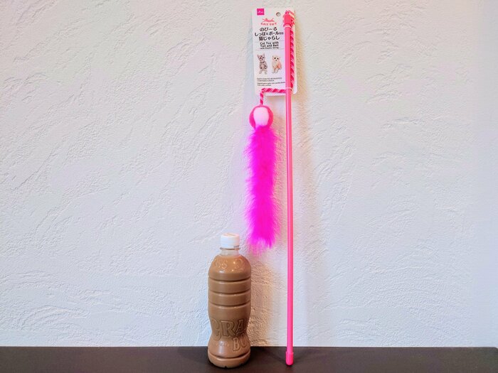 棒部分の長さは一般的な500mlペットボトル3本分程度