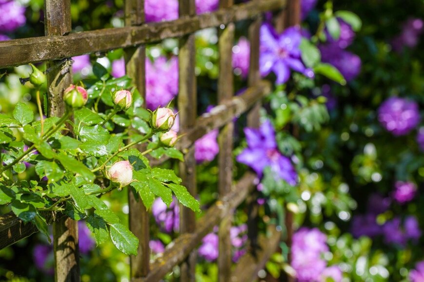 DeepGreen/istockphoto.com