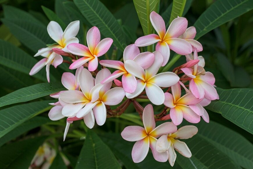 yotrak/istockphoto.com