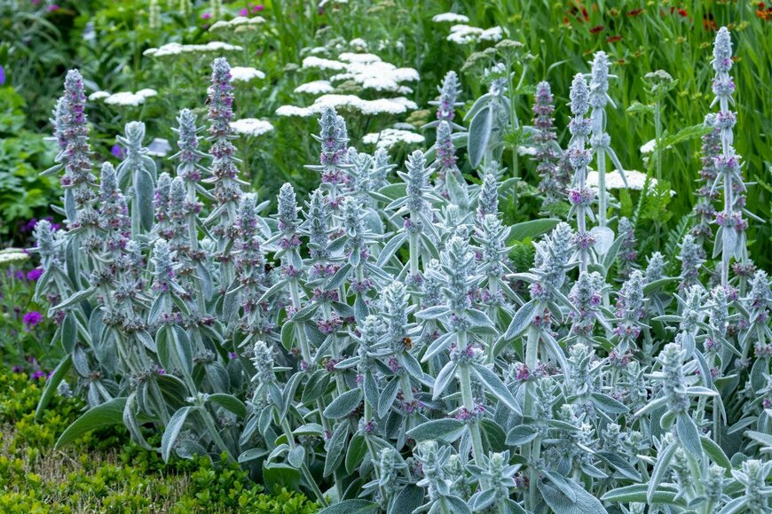 Irina Stevenson/istockphoto.com