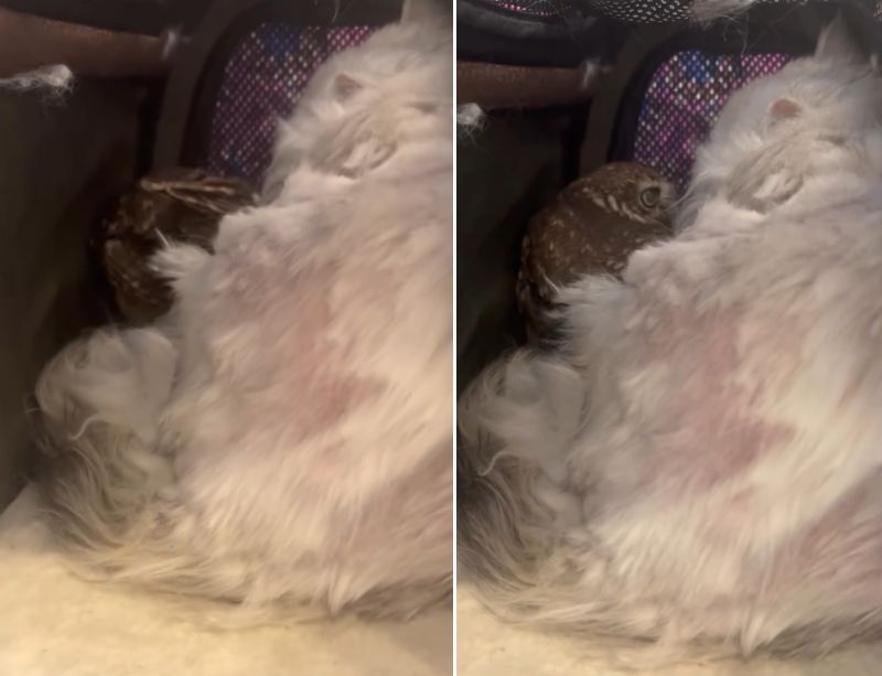 出所：@cr8673.hiro