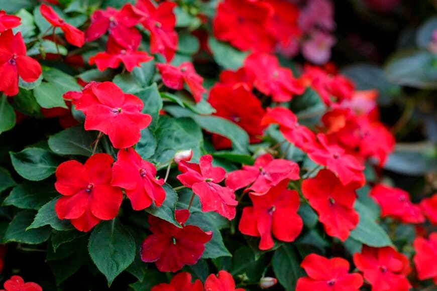 yod67/istockphoto.com