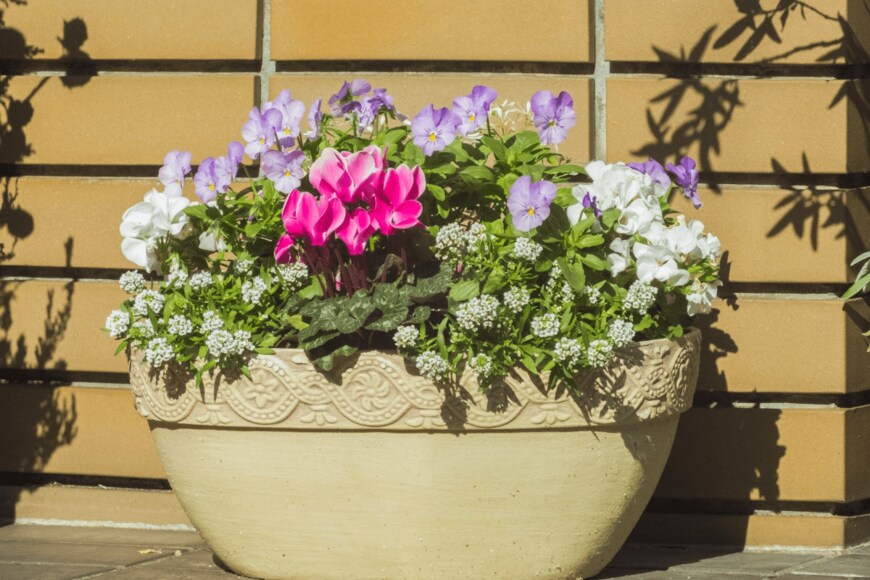 tsurukamephoto/istockphoto.com