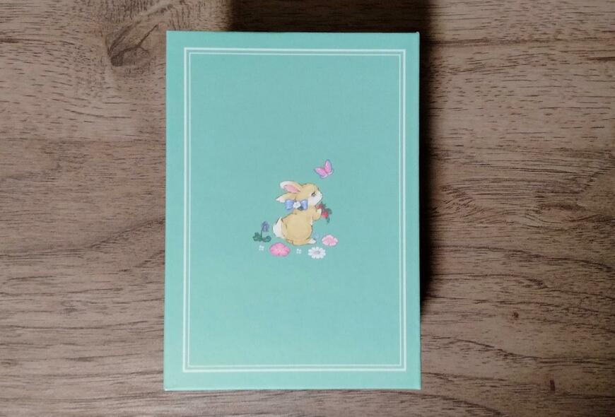 筆者撮影（セリア、ブック型ボックスS ヴィンテージフォレスト）