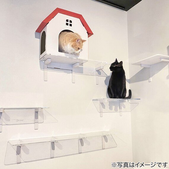 出所：ニトリ公式通販ニトリネット ロングステップ（幅90cm クリア CATROAD+）