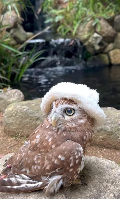 出所：@cr8673.hiro