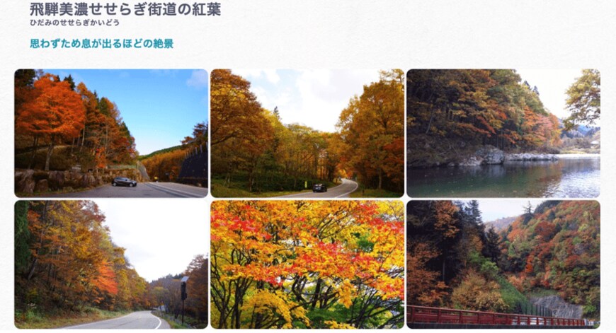 出所：岐阜県観光公式サイト「飛騨美濃せせらぎ街道の紅葉」