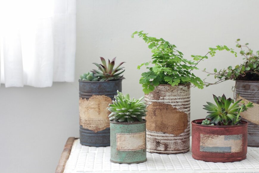 sogane/Shutterstock.com