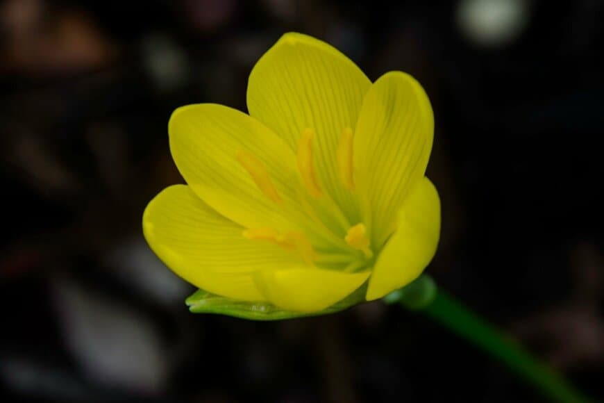 Primi2/shutterstock.com