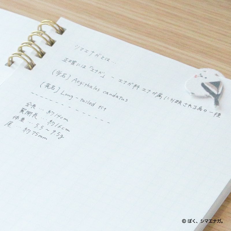 画像出所：PR TIMES