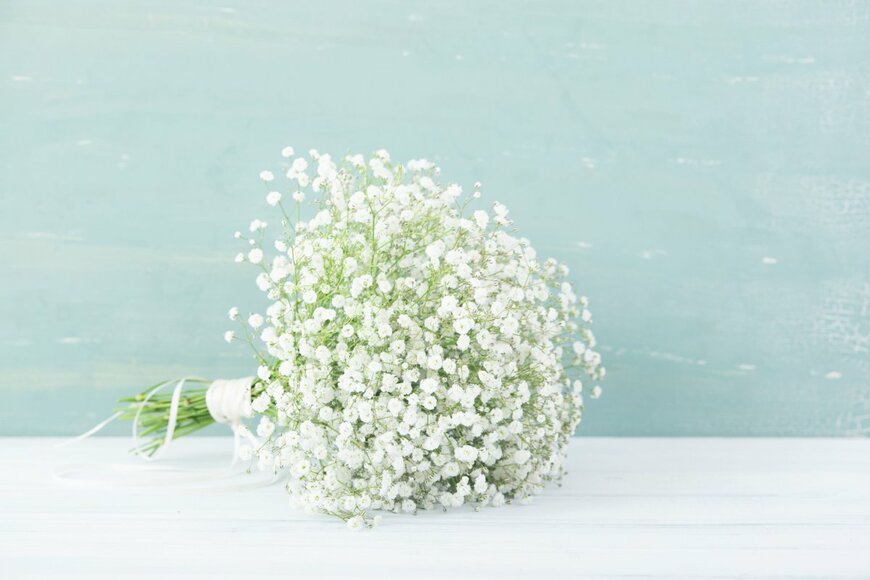                                                                 karins/shutterstock.com