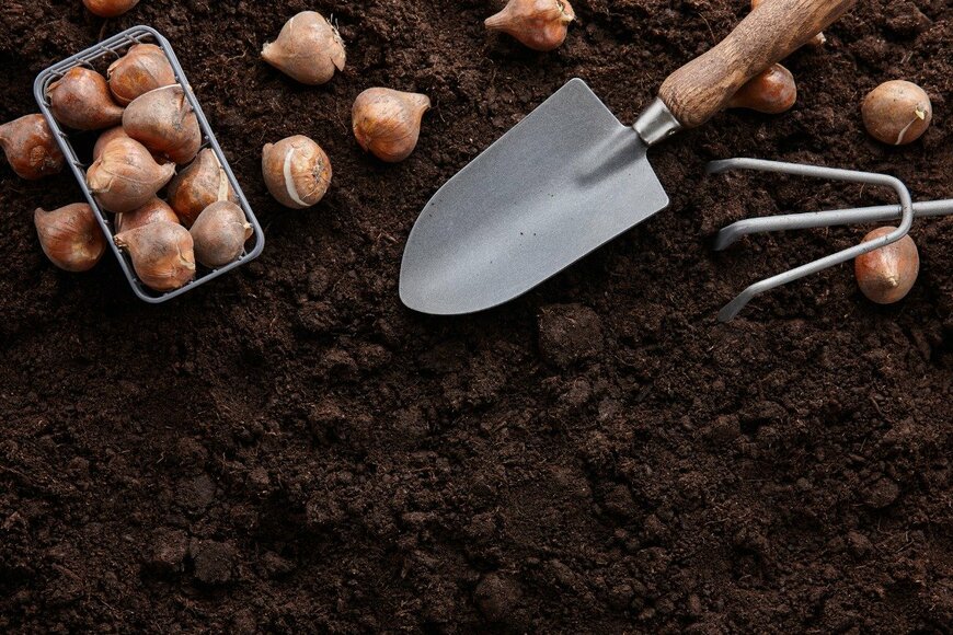 kobeza/istockphoto.com