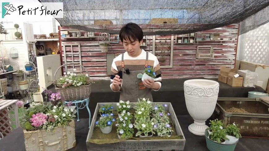 出所：@petit_fleur