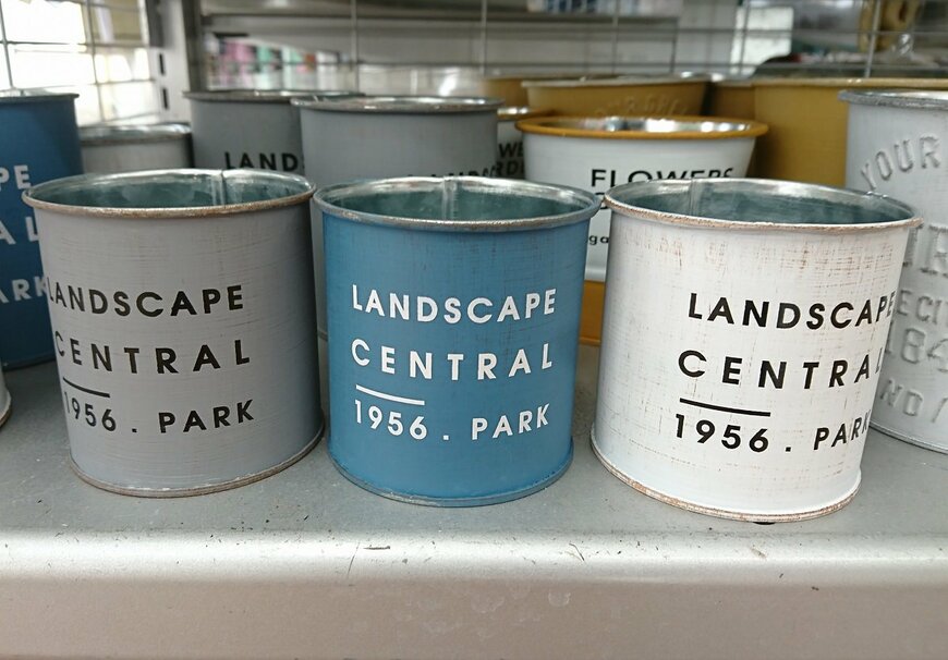 ダイソーの鉢カバー。サイズは小さいが、色違いでそろえるとオシャレ。（LIMO編集部）