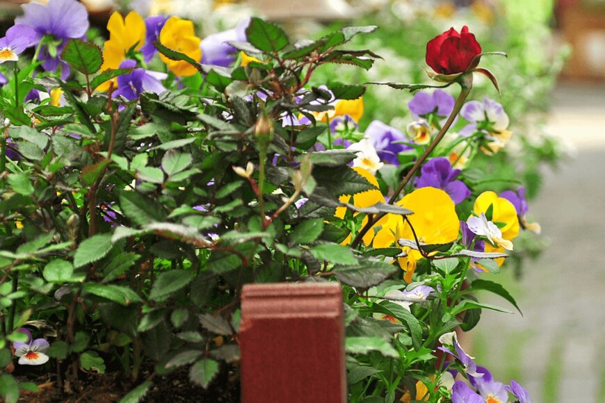 nelyninell/istockphoto.com