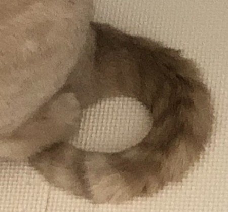 出所：@TsunaIsCat