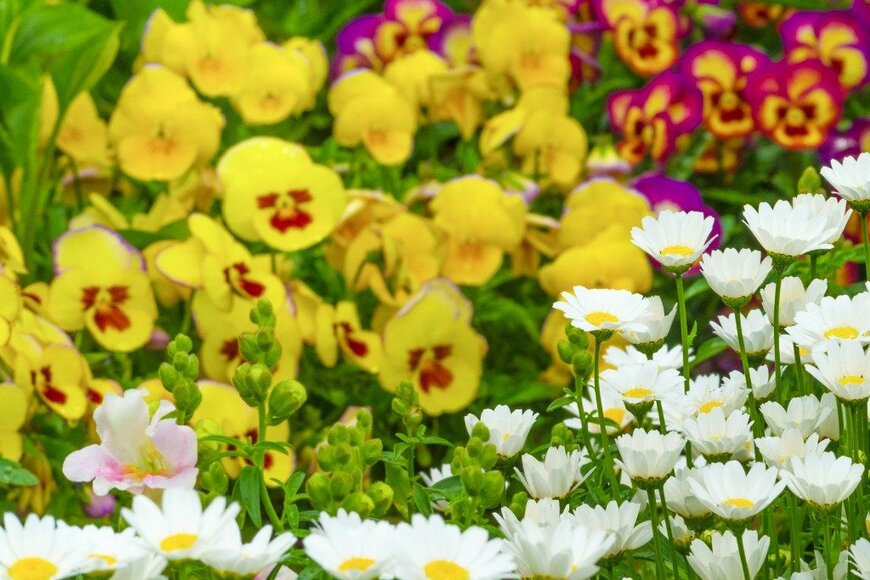 Orthosie/istockphoto.com