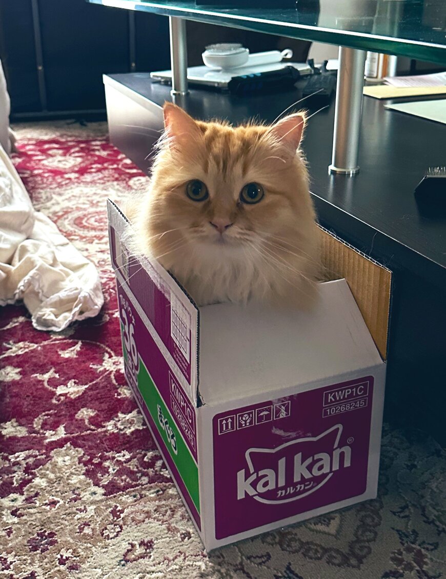 出所：@NEKOLAND13