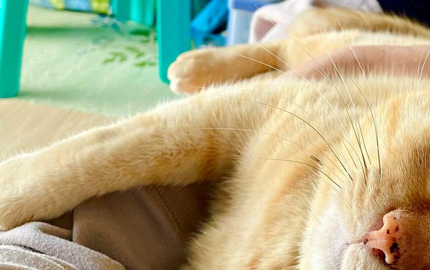 出所：@luna7taka9