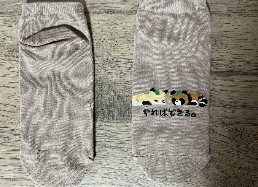 セリア、レディースショート丈 やればできる商品画像