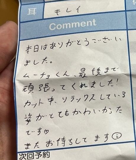 トリミングのレポート