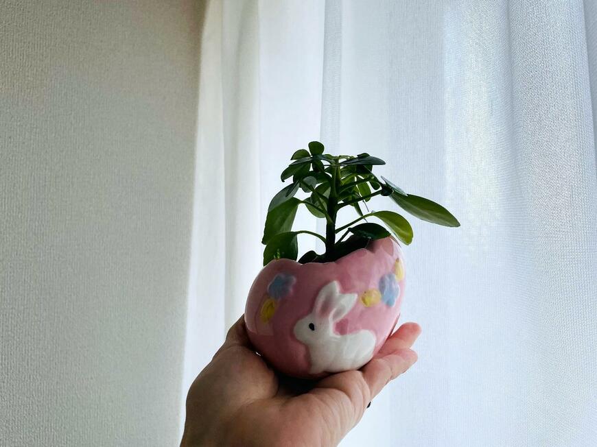 イースター陶器（エッグ）