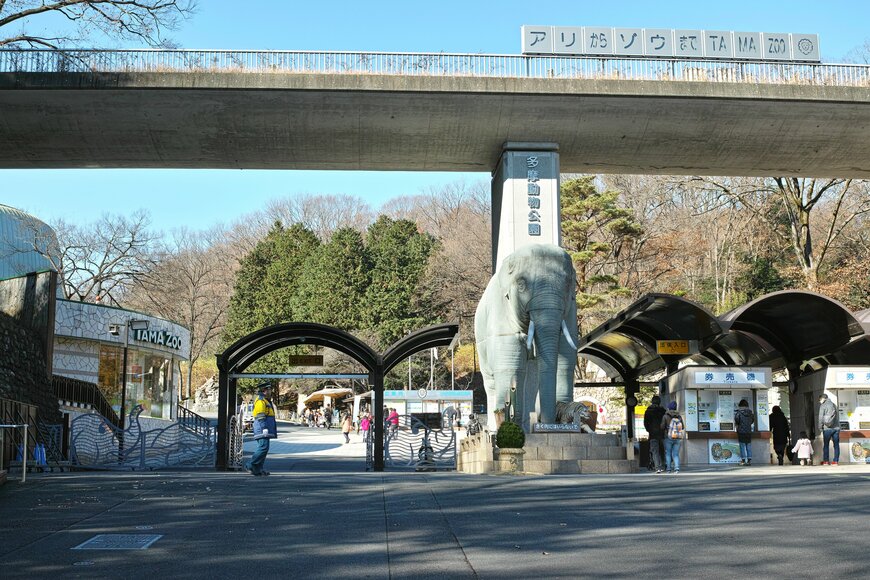 大きな象がお出迎えしてくれる「多摩動物公園」