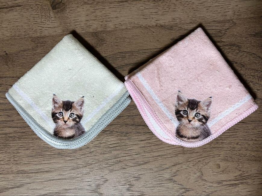 セリア、ニャンカチ