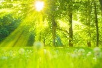 住民税非課税世帯の目安年収を確認。低所得世帯に3万円給付へ