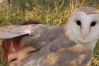 飼い主と一緒に散歩する「かわいいフクロウ」の特等席　前が見えないラブラブ状態が「うらやましい」