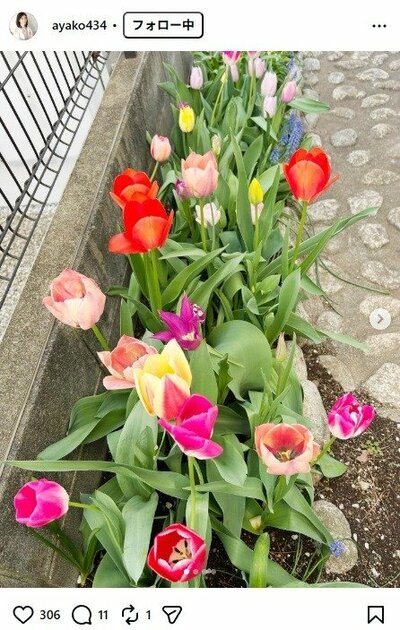 小林綾子のInstagram投稿