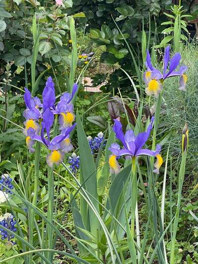 假屋崎省吾のAmeba公式ブログ投稿