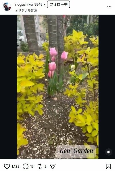 野口健のInstagram投稿