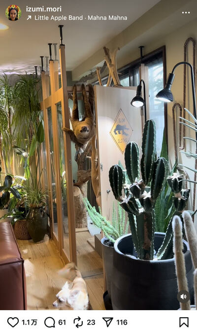 森泉のInstagram投稿