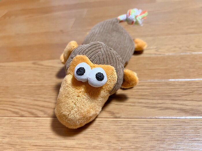 クリクリとした目が何とも可愛らしく、愛着が湧いてきます