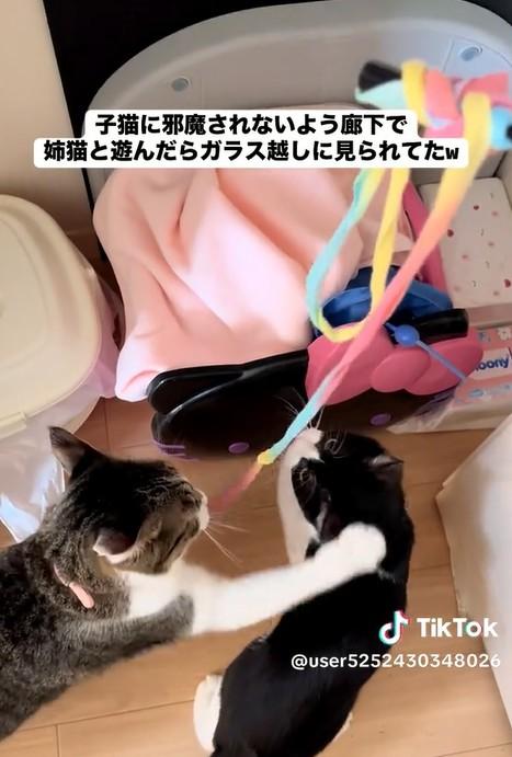 出所：@user5252430348026