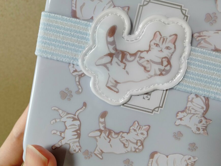 筆者撮影（キャンドゥ、キャットライフ　シールランチ　550ml・キャットライフ　ランチベルト）