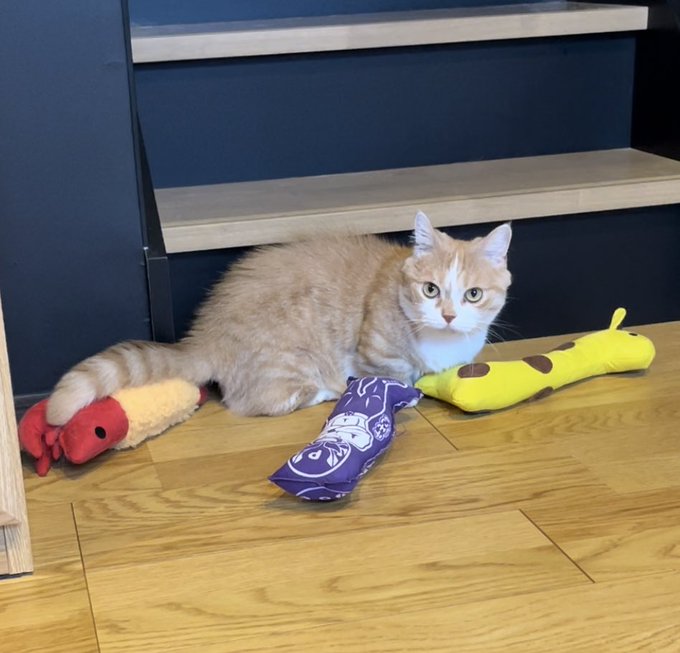 出所：@kotaro_0315