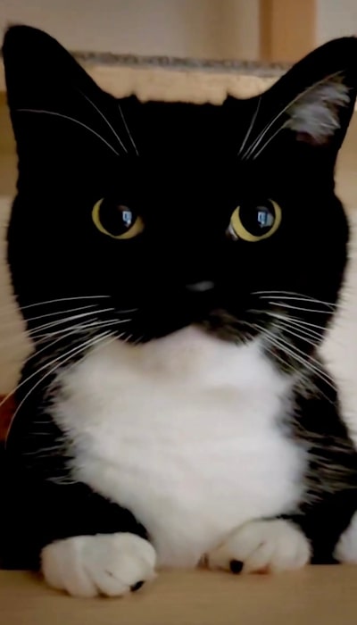 出所：@unicouniuni3