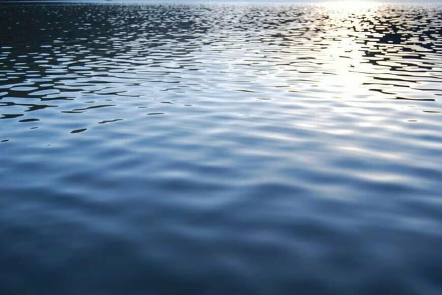 山口県で撮影された「池の様子」に思わず目を疑う　生息する生物たちに「神秘的」「テンション上がる」