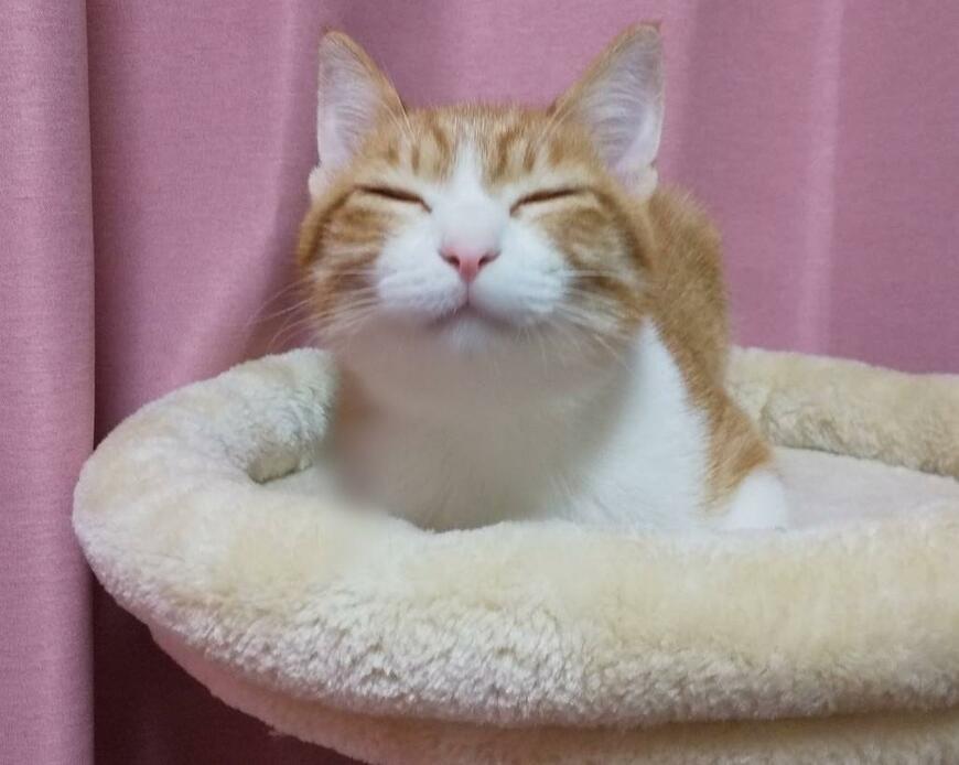 出所：@mero627puri914