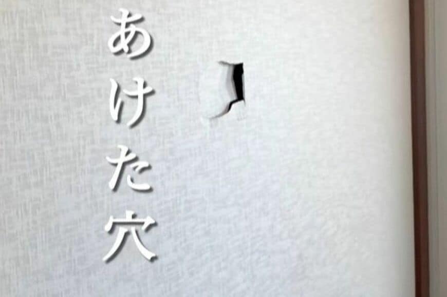 「真似させていただきます」夫が開けた玄関の壁の穴が…　妻のアイデアで「おしゃれなニッチ」にアレンジ