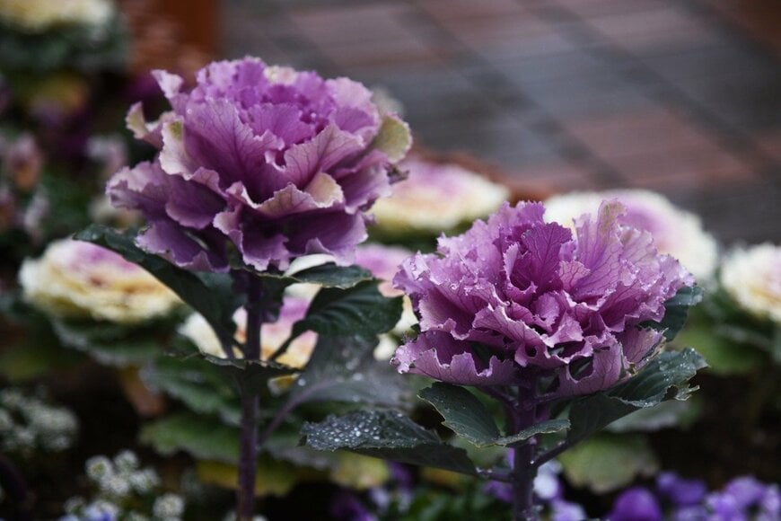 undefined undefined/istockphoto.com