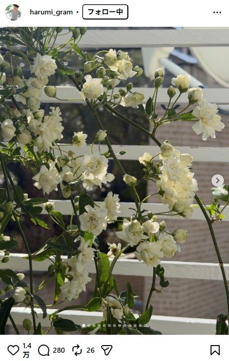 出所： 栗原はるみのInstagram（＠harumi_gram）　参照日：2026年4月9日