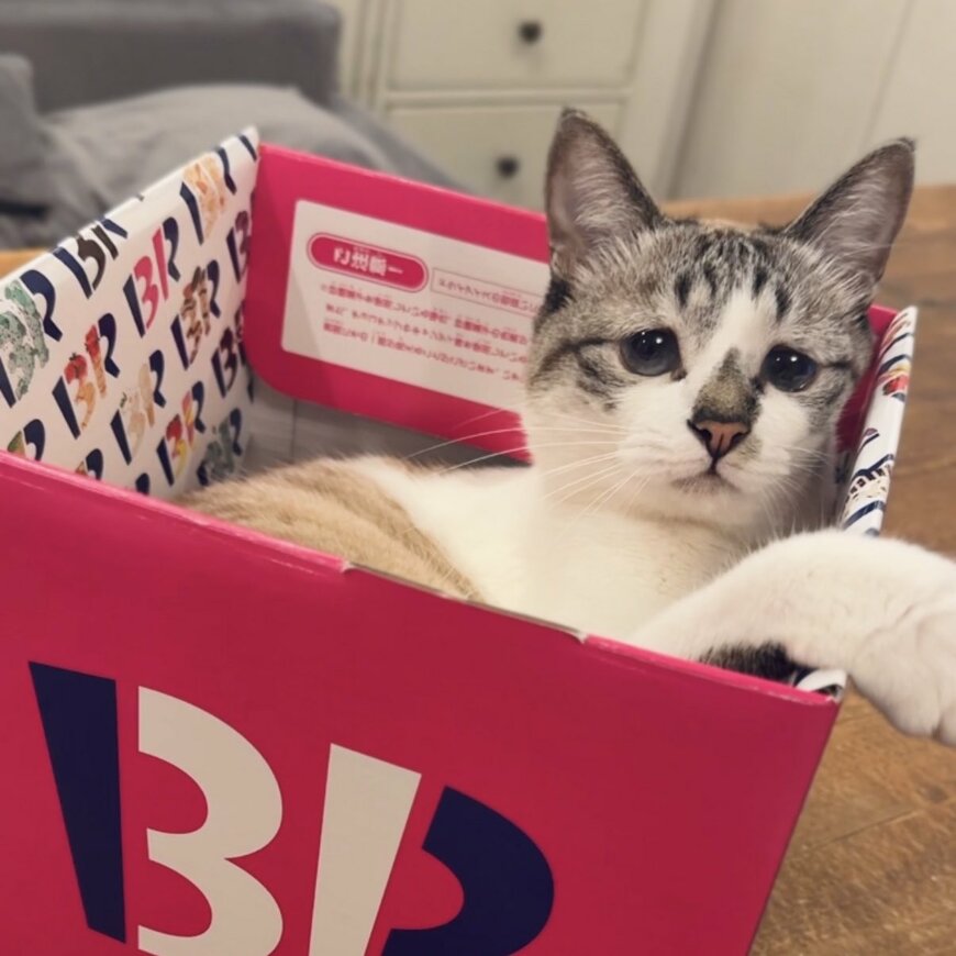 出所：@piennekomint