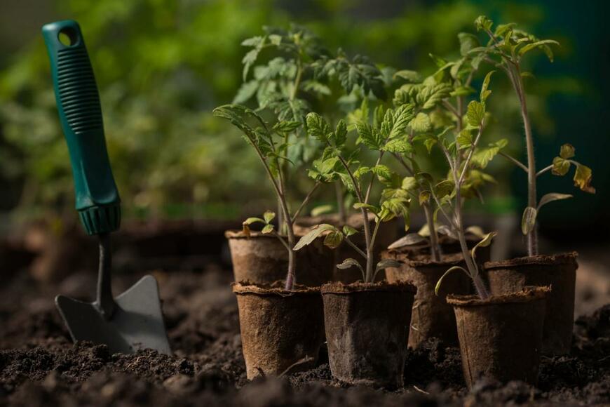 PhotoJuli86/shutterstock.com