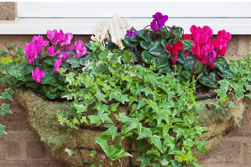 au902/istockphoto.com