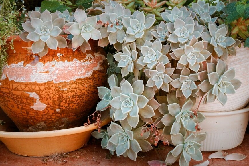 Marina Indova/istockphoto.com